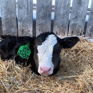 Meet your Posher, Devyn